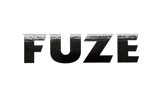 fuzedisposablevape.store